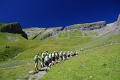 24h Hike Mammut_Ochsner 'Grosse Scheidegg _ Schwarzhorn 2927m' 18_08_2012 (94)